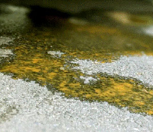 BLOGPOST_Coolant09112025.jpg