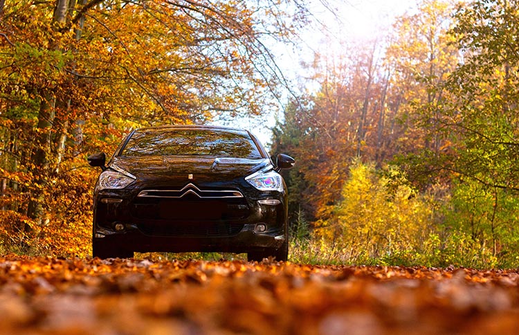 BLOGPOST_FallCarMaintenance10202022.jpg BLOGPOST_FallCarMaintenance10202022.jpg