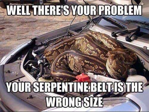 BLOGPOST_SerpentineBelt06112020.jpg